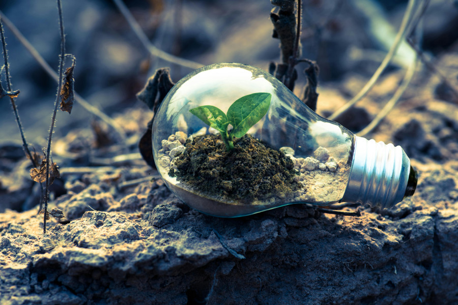 Renewable Energy Services for all