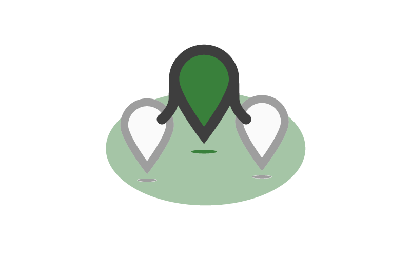 local coordinator